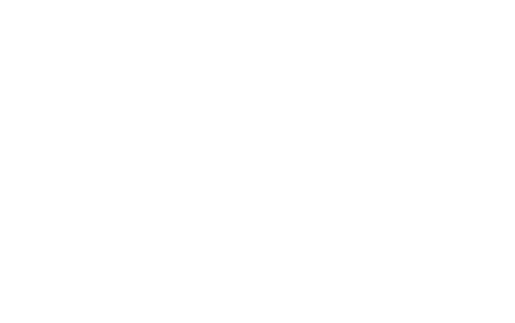 Webley Global